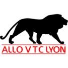 Allo VTC Lyon VIP