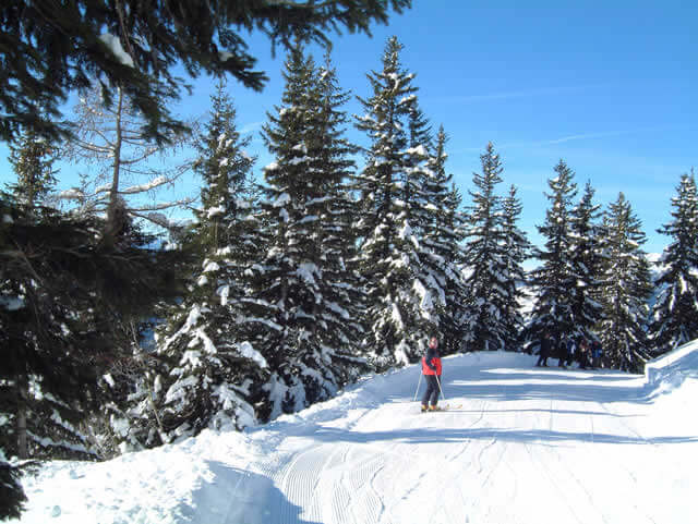 Skiniks Self-Catering Apartments in La Rosiere