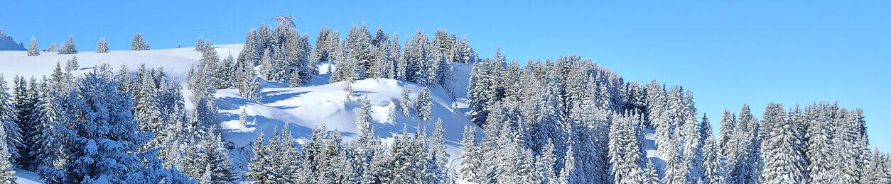Image for Flaine Transfers & Ski Resort Guide