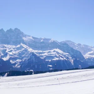 Chatel Ski Resort Guide