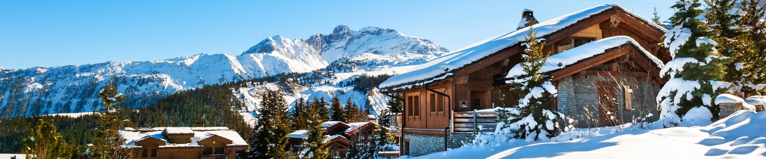 Image for Courchevel Ski Resort Gude