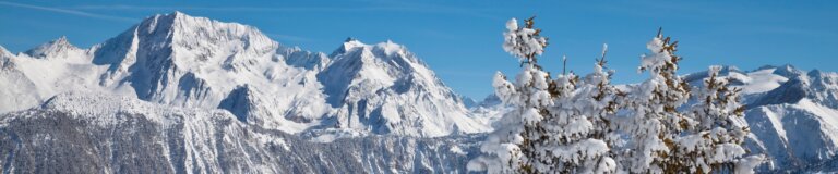 Les Gets Ski Resort Guide