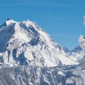 Les Gets Ski Resort Guide